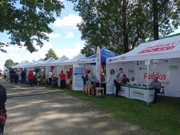 Piknik województwa łódzkiego w Dłutowie, 